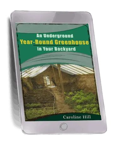 The Lost SuperFoods  Bonus1